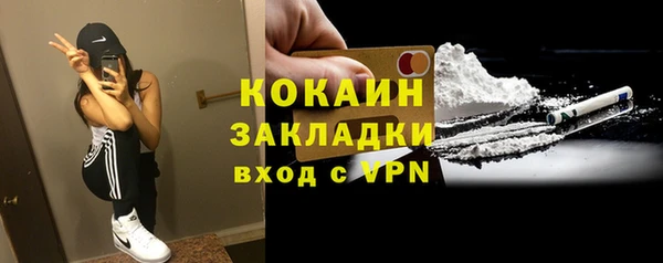 тгк Алексин
