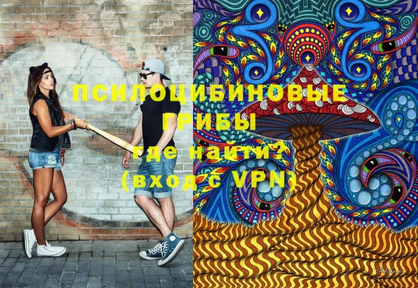 тгк Алексин
