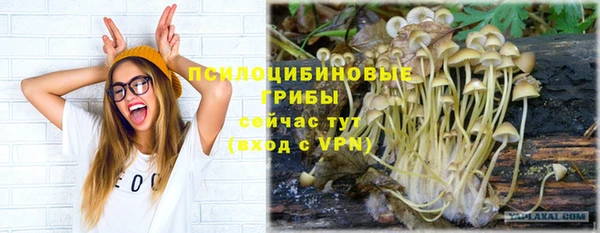 гашишное масло Алексеевка