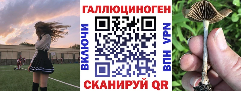 купить наркоту  Ялта  Псилоцибиновые грибы Psilocybine cubensis 